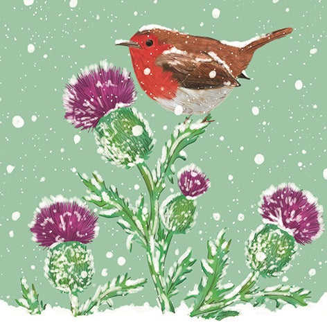 Robin and thistle pack 10 Christmas cards