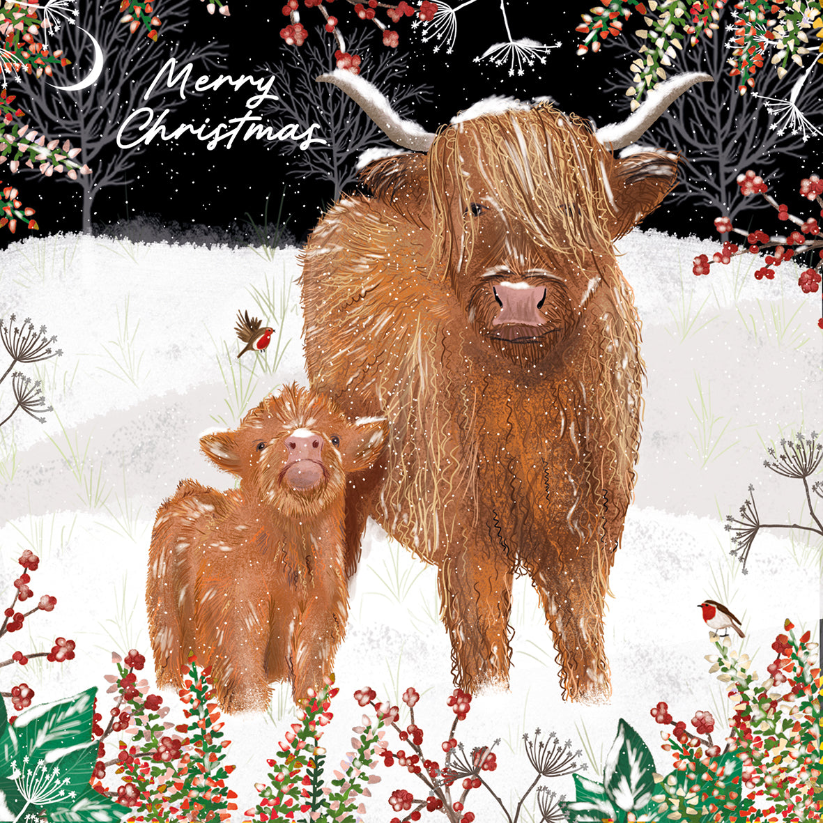 Highland cows and robins pack 10 Christmas cards