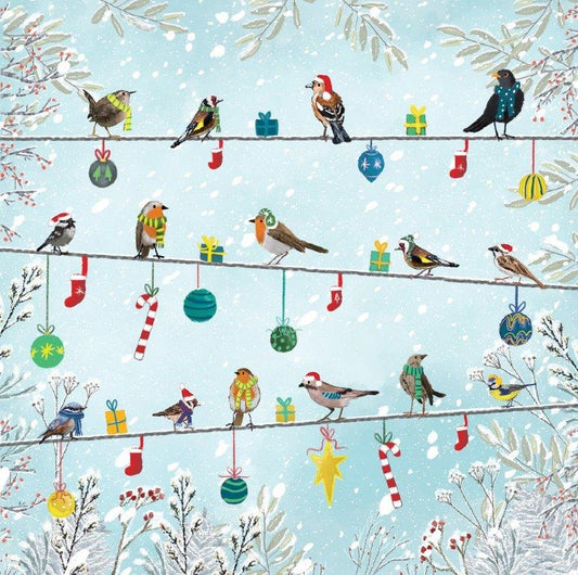 Festive birds pack 10 Christmas cards